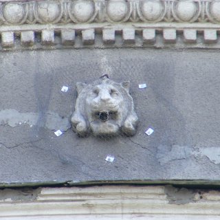 ��� �� ������