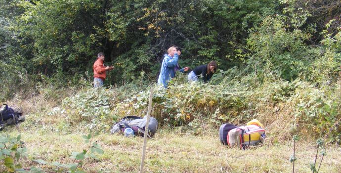 ���� �������