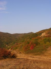 ���� � ��������