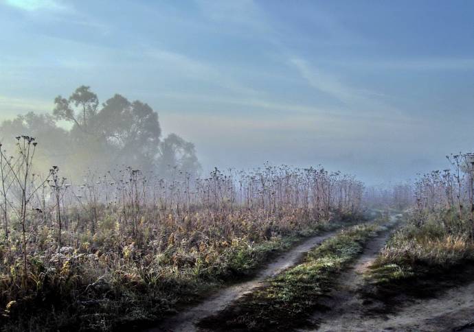 ���, �����