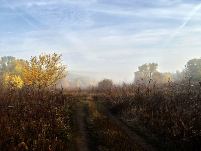 ���� ������ � ��������