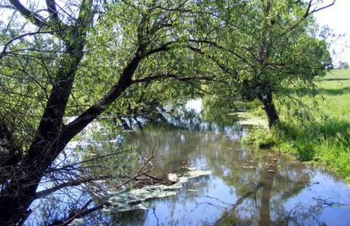 ��������, ����