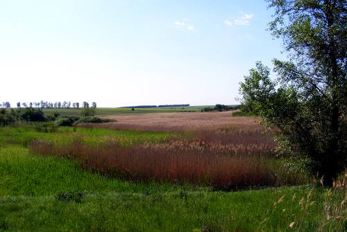 ��������, ����