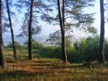 ���� ��������