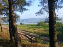 ���� ��������