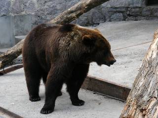 �������