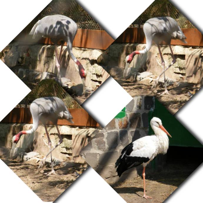 ������� � ����