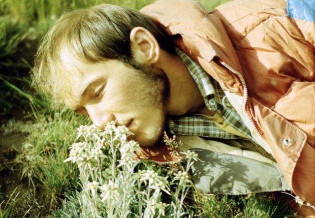 ������ � ���������